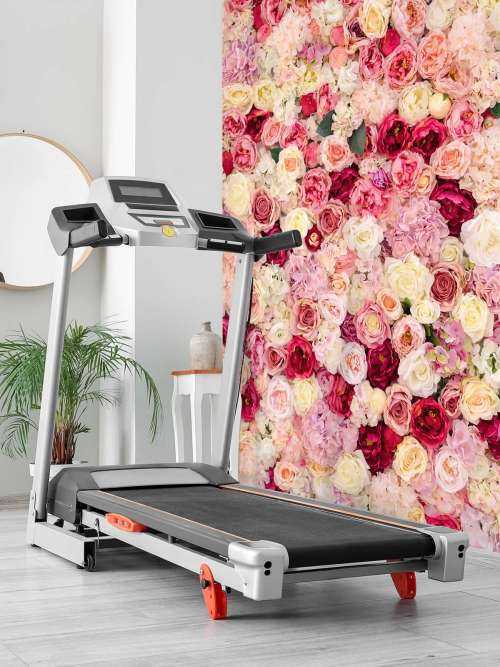 Roses fantaisie
