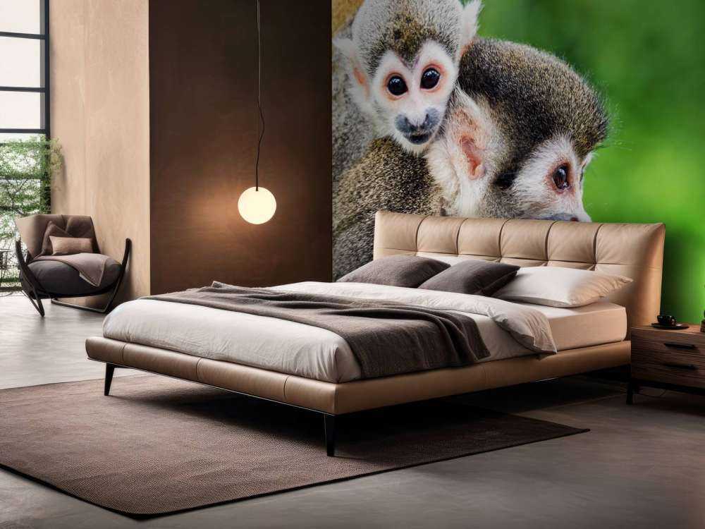 Singes écureuils
