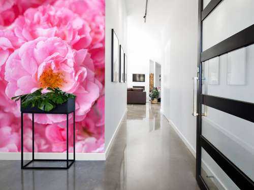 Plusieurs roses roses