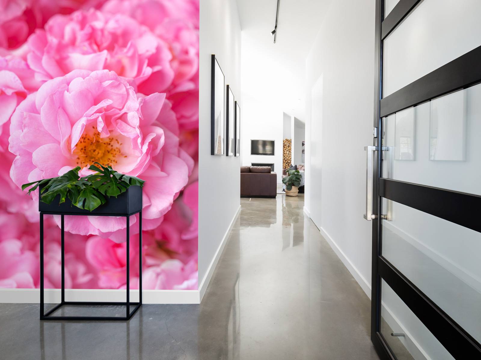 Plusieurs roses roses