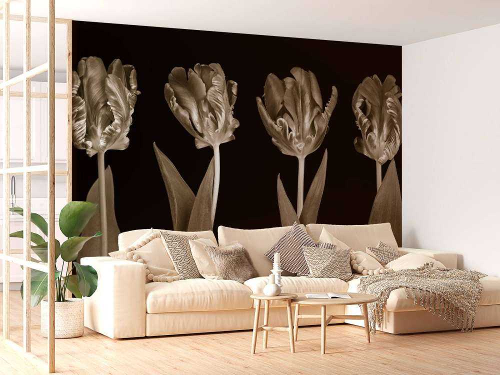 Tulipes rococo