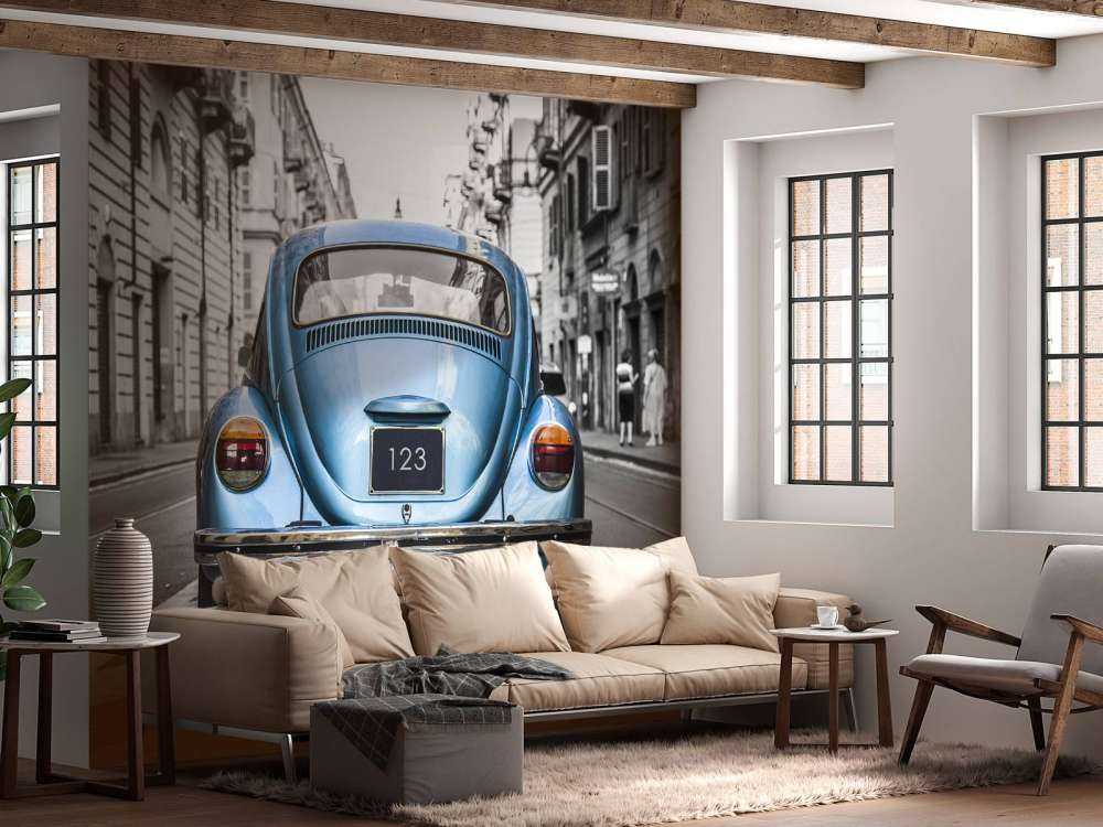 Coccinelle classique