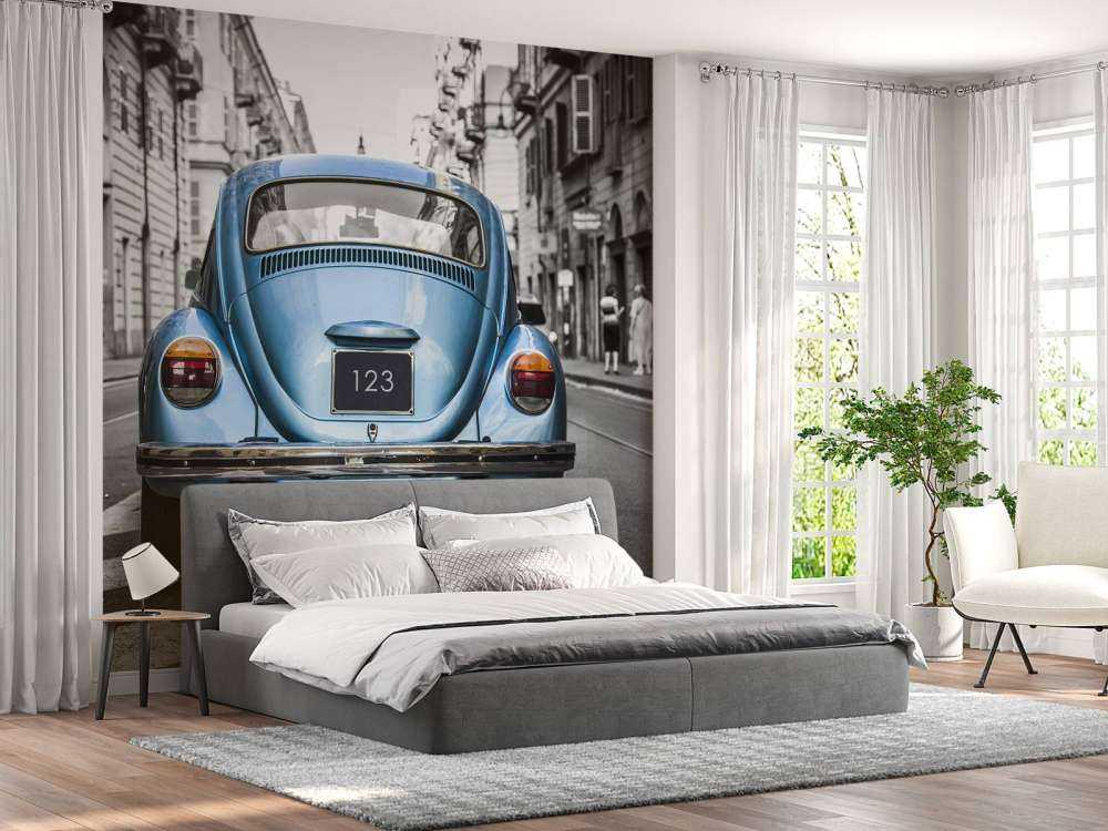 Coccinelle classique