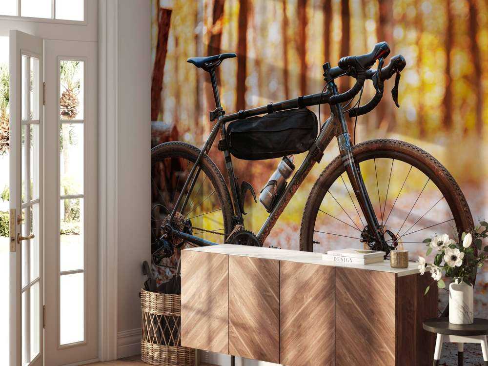 Vélo en automne