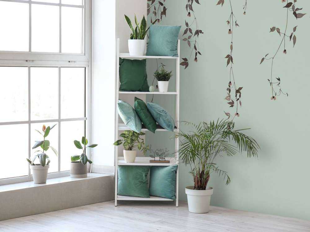 Brins de clématite sur gris vert