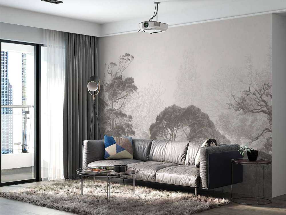 Paysage forestier