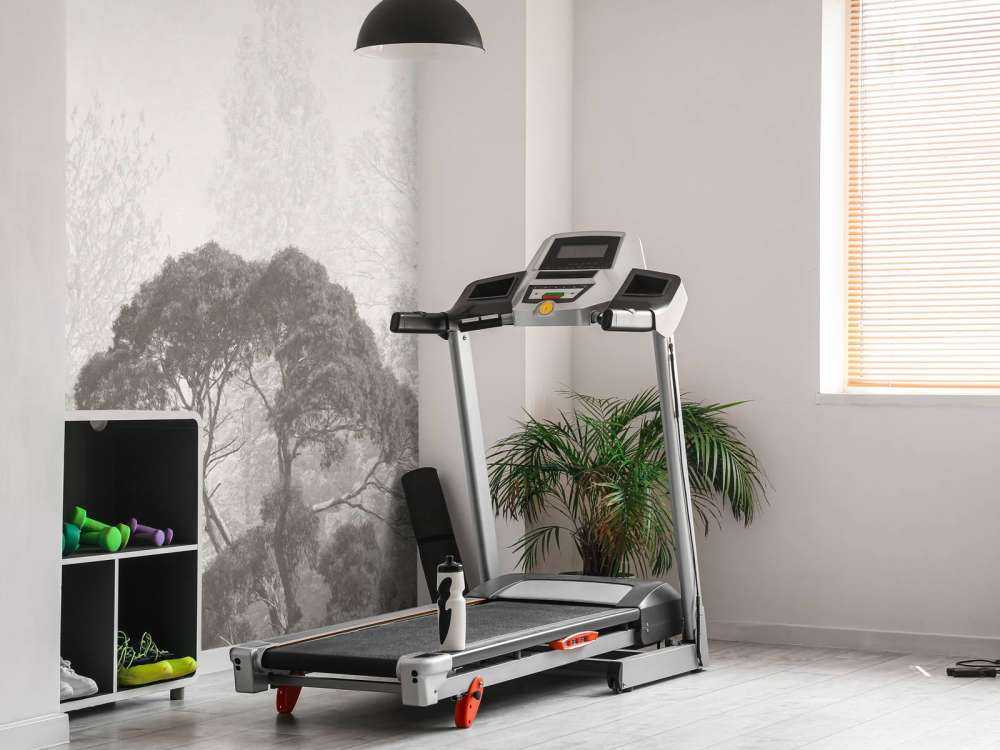 Paysage forestier