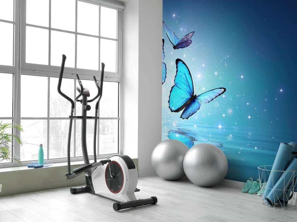 Papillons de fée sur l'eau