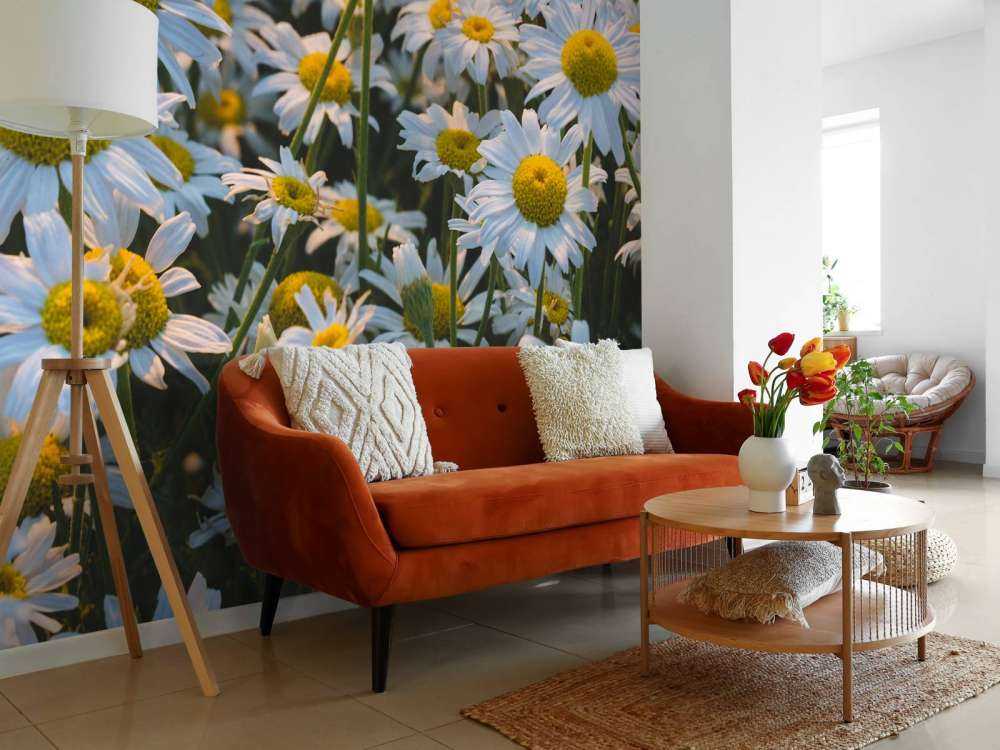 Marguerites vintage