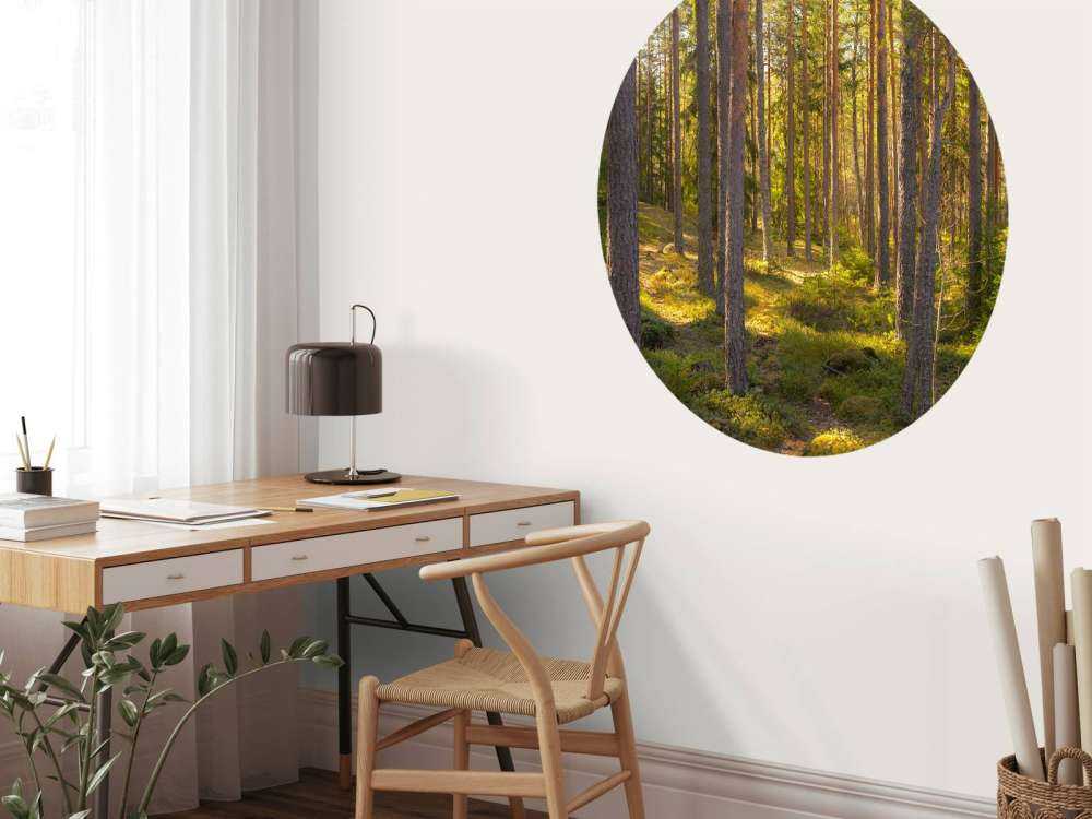 Forêt en été