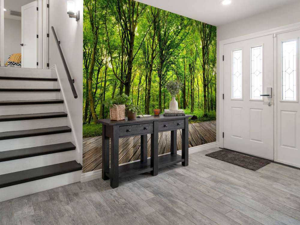 Forêt luxuriante