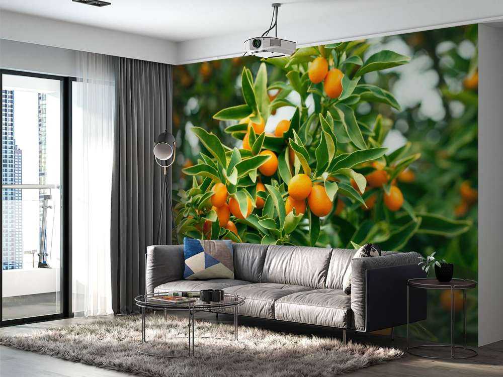 Arbre fruitier