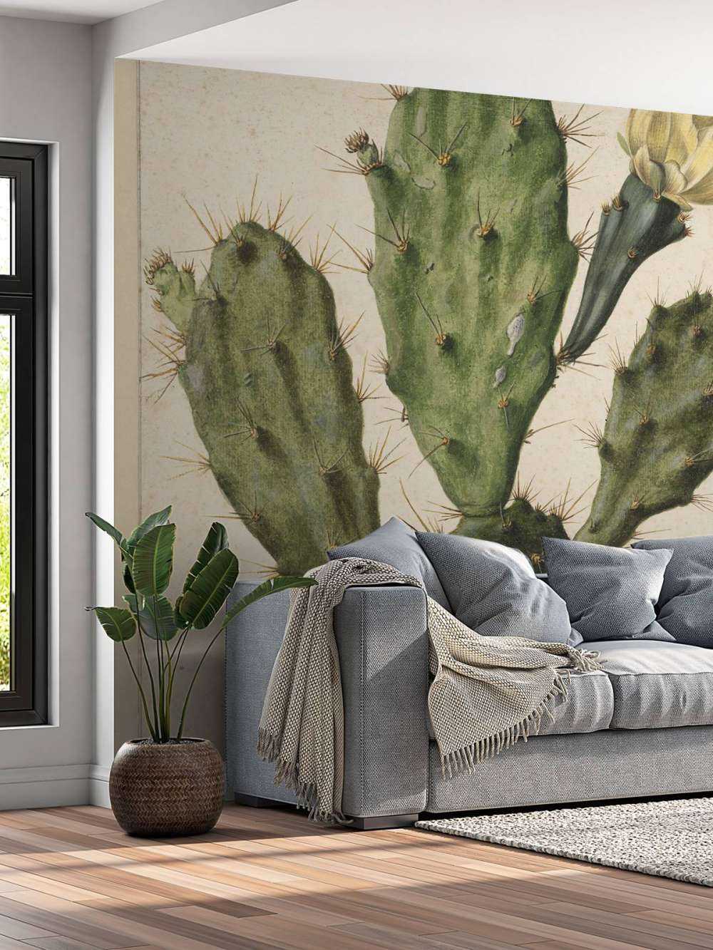 Cactus figuier à fleurs