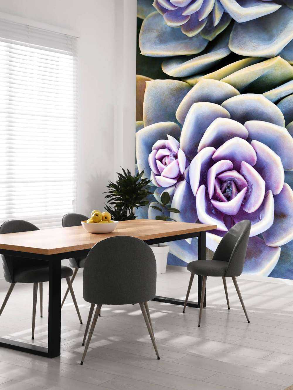 Succulents