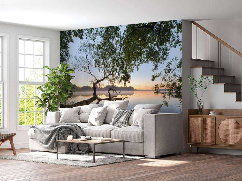 Lake view
