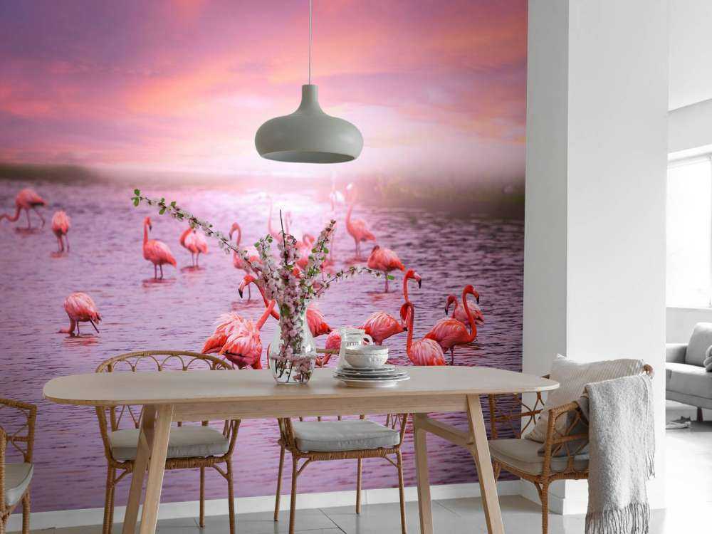 Flamants et le coucher de soleil