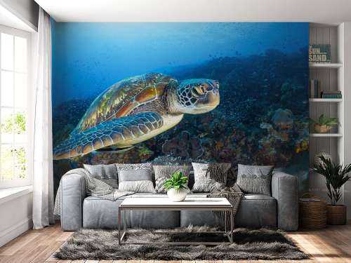 Green sea turtle from Raja Ampat