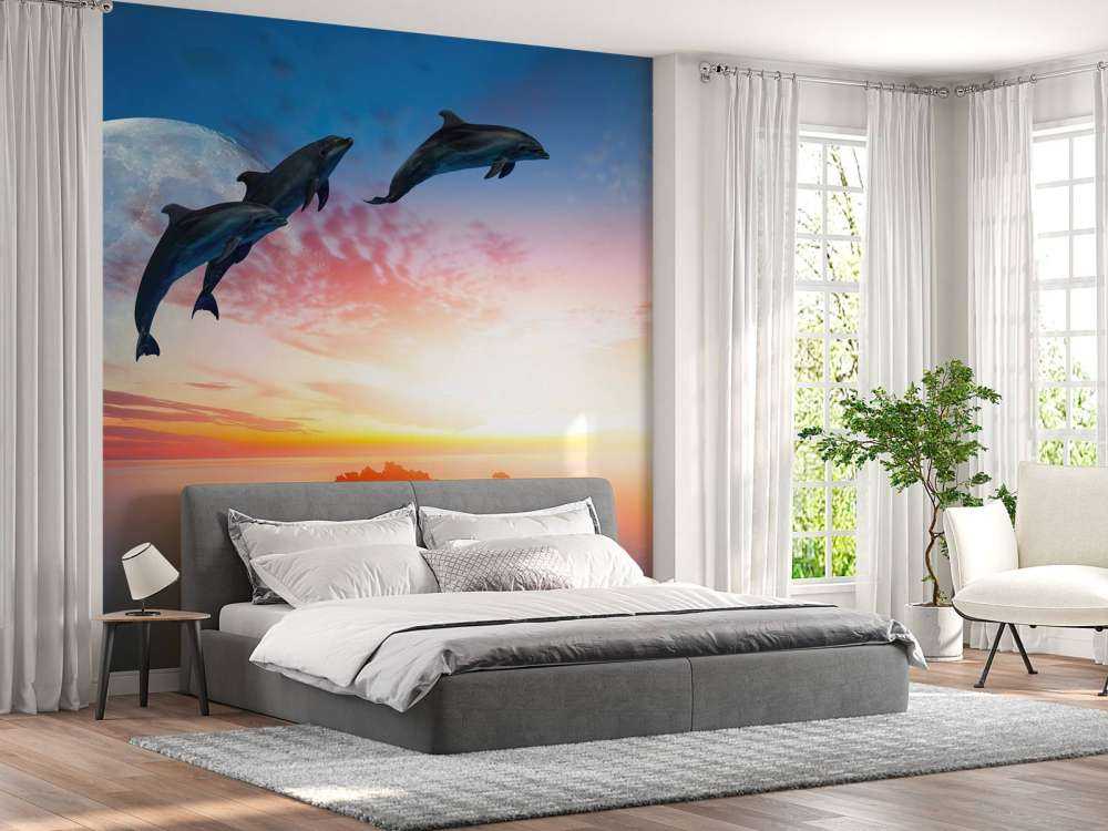 Les dauphins en pleine nuit