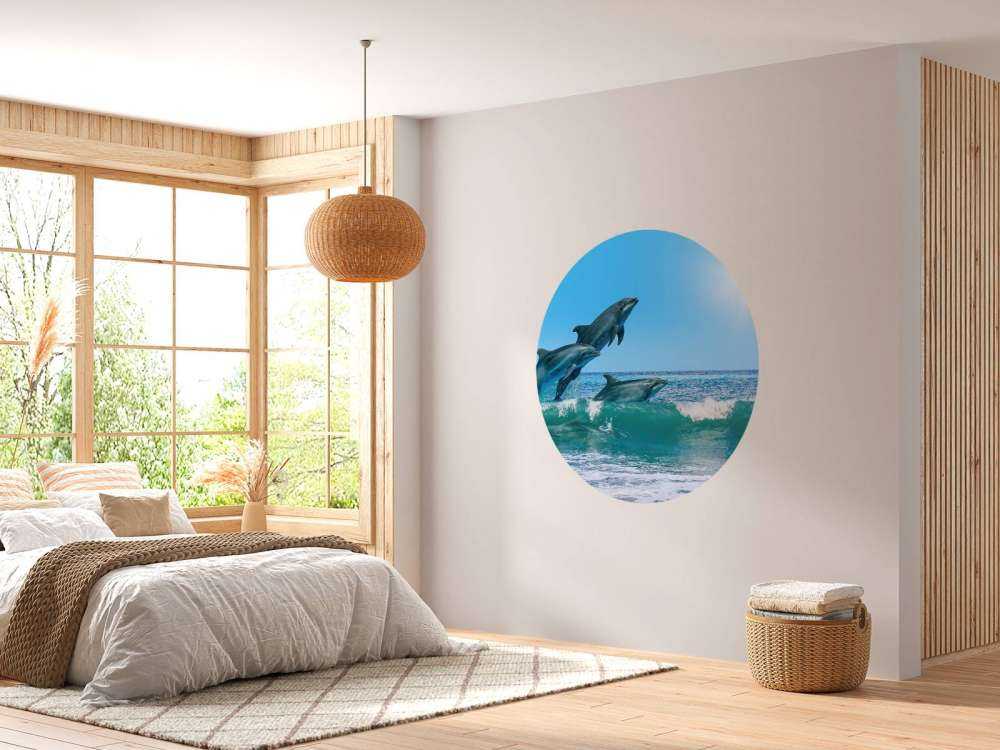 Dauphins sur la côte