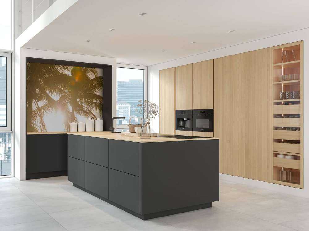 Palmiers tropicaux