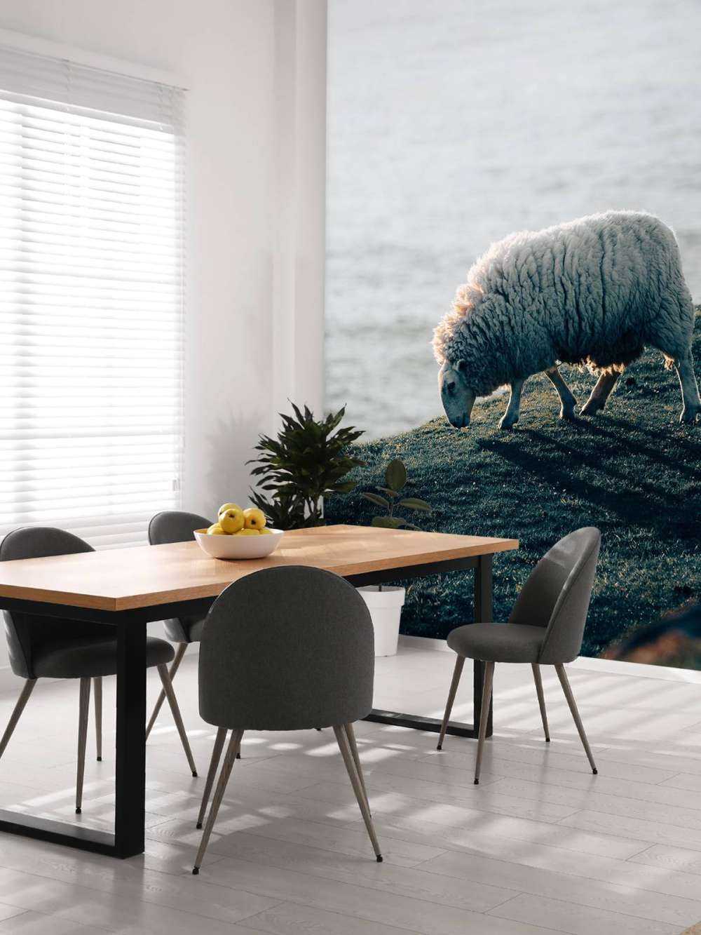 Moutons au pâturage