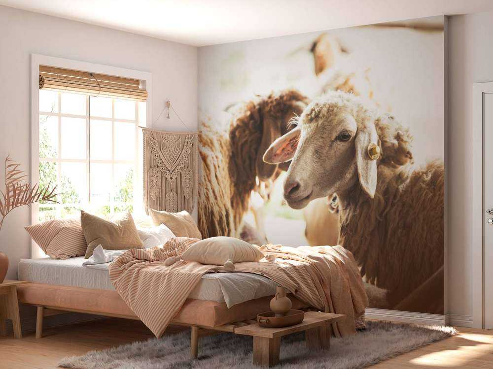 Mouton dans une étable