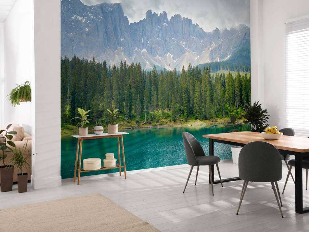 Rangée d'arbres près d'un lac de montagne