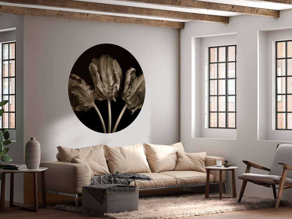 Trois tulipes rococo