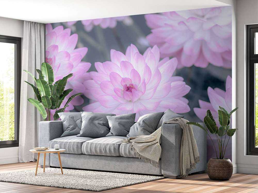 Fleur de dahlia rose