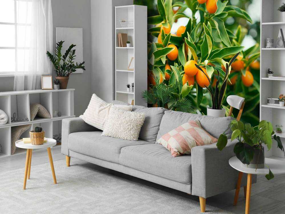Arbre fruitier
