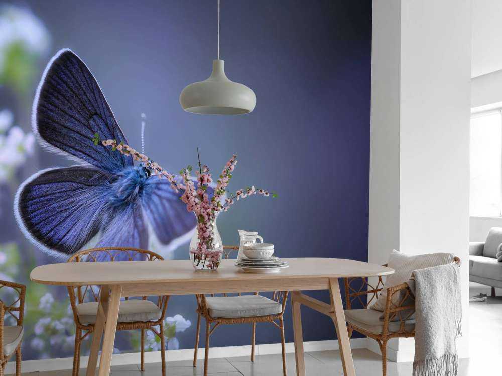 Papillon bleu