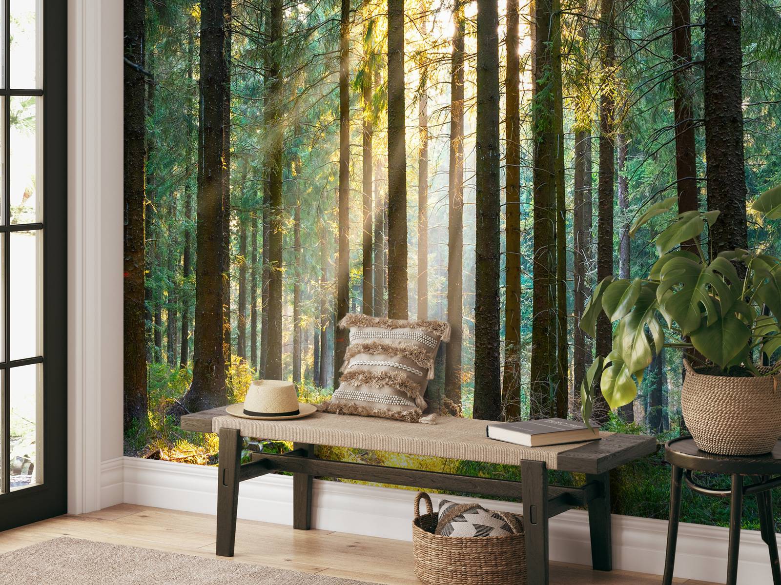 Une forêt tranquille