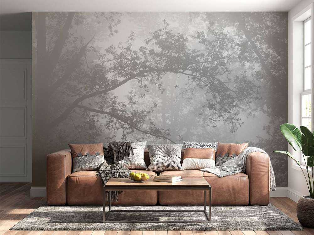Forêt dans la brume
