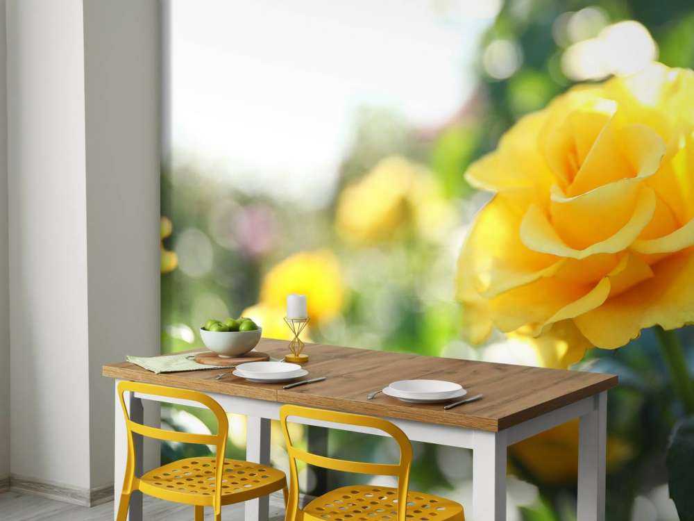 Roses jaunes