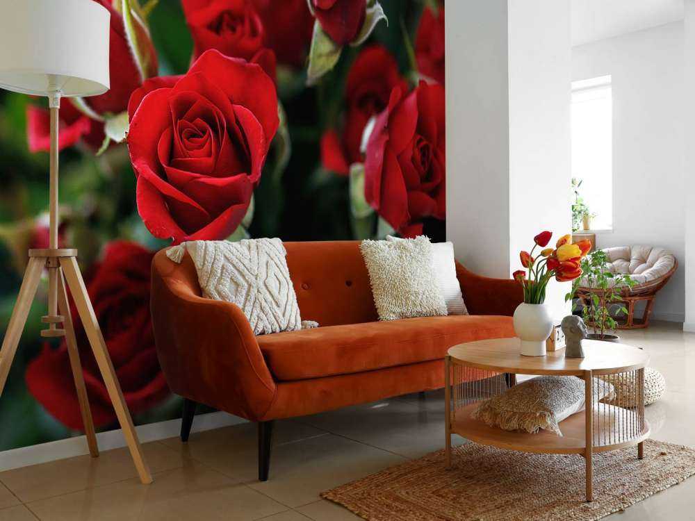Rosier rouge
