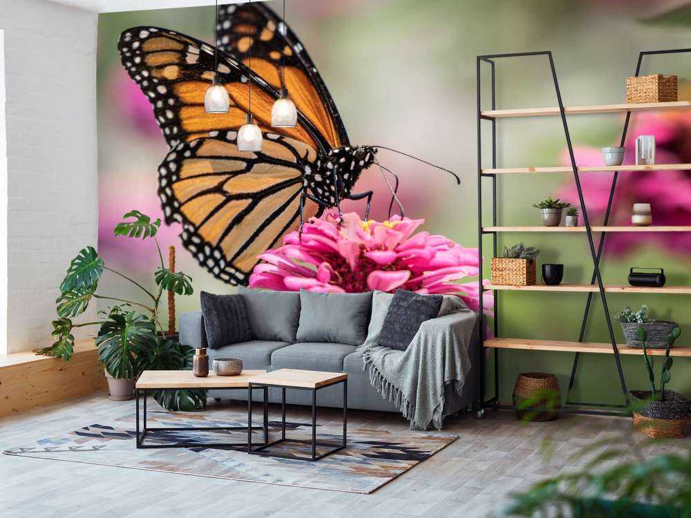 Un papillon monarque