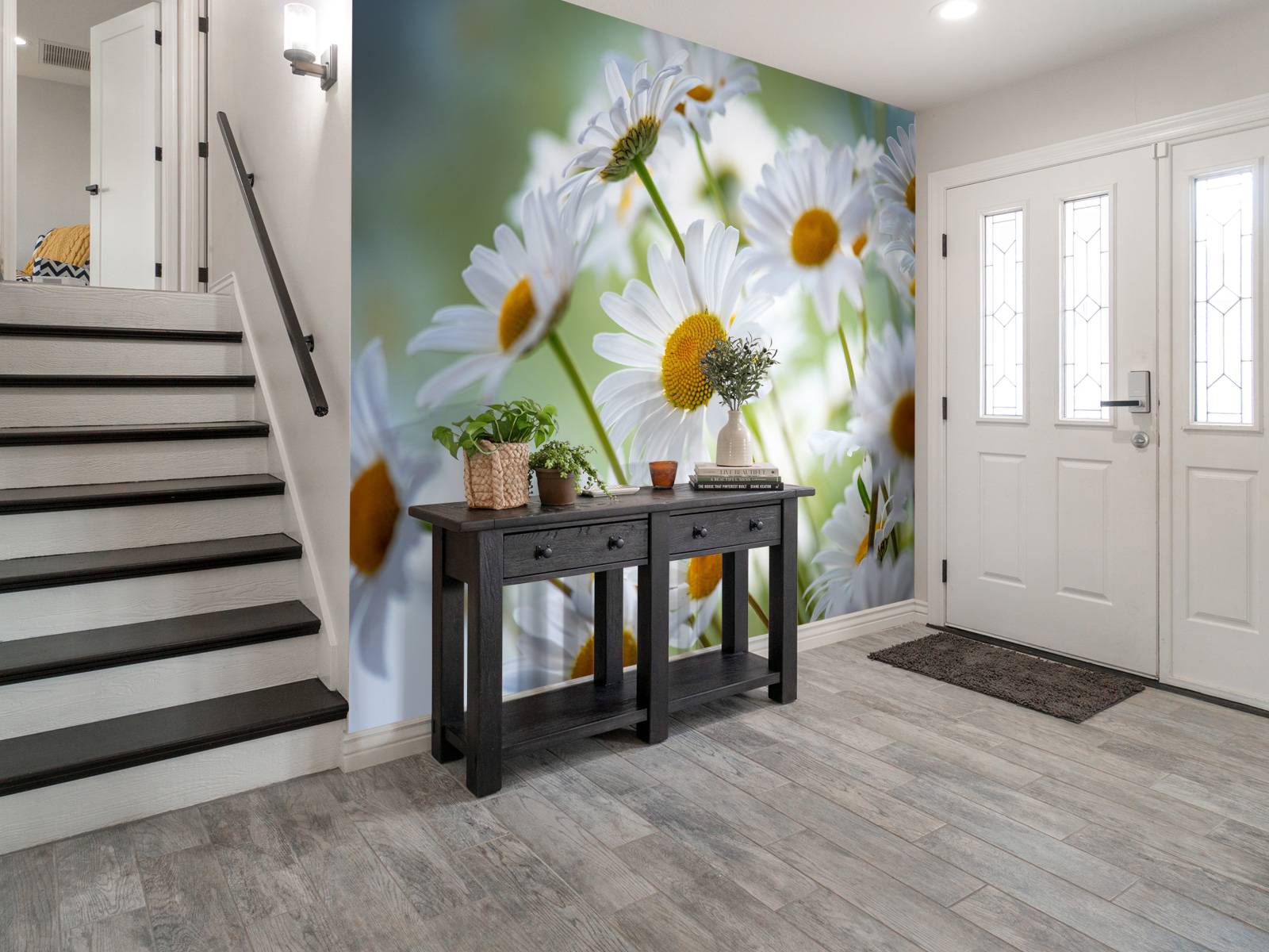 Gros plan sur les marguerites