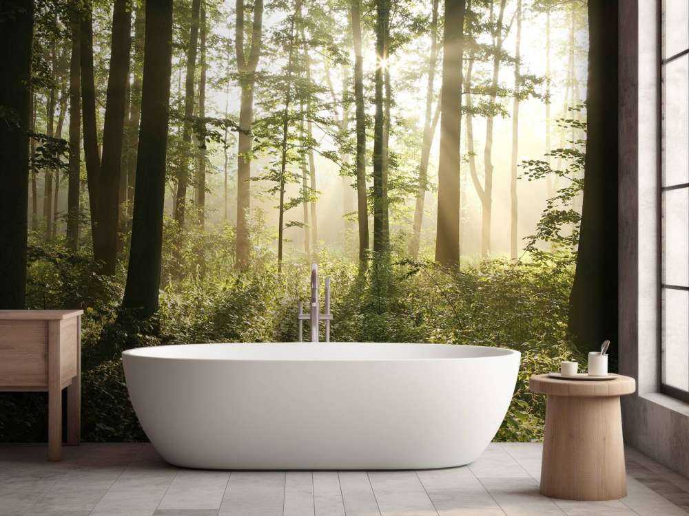 Forêt de feuillus brumeuse