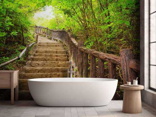 Escalier en forêt