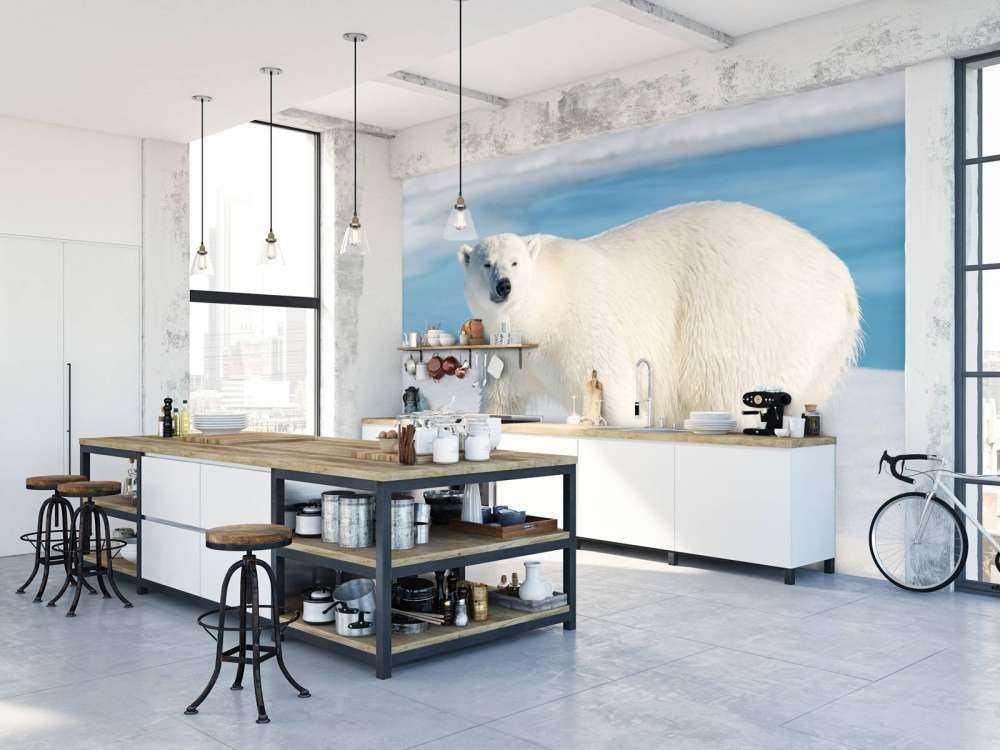 Ours polaire