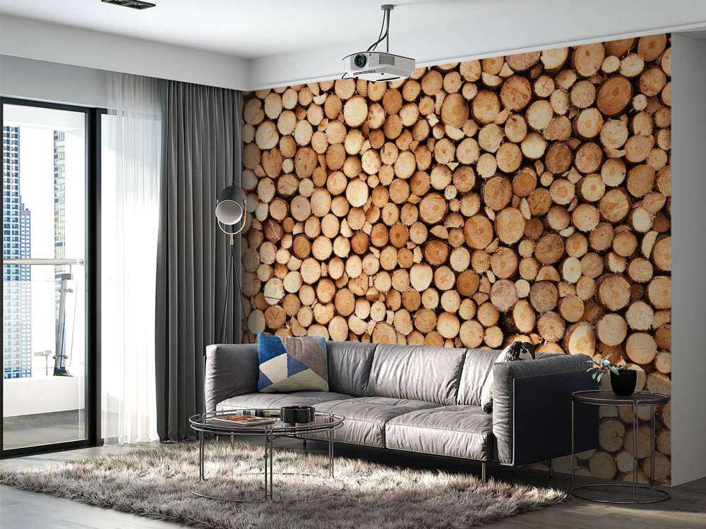 Bois de feu
