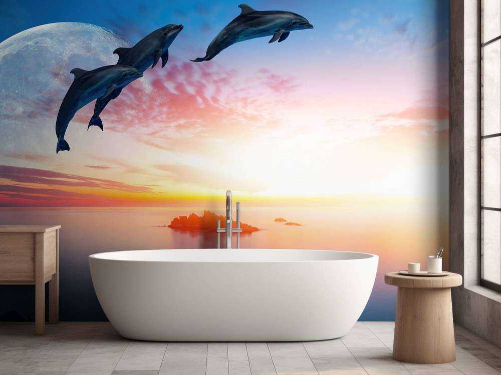 Les dauphins en pleine nuit