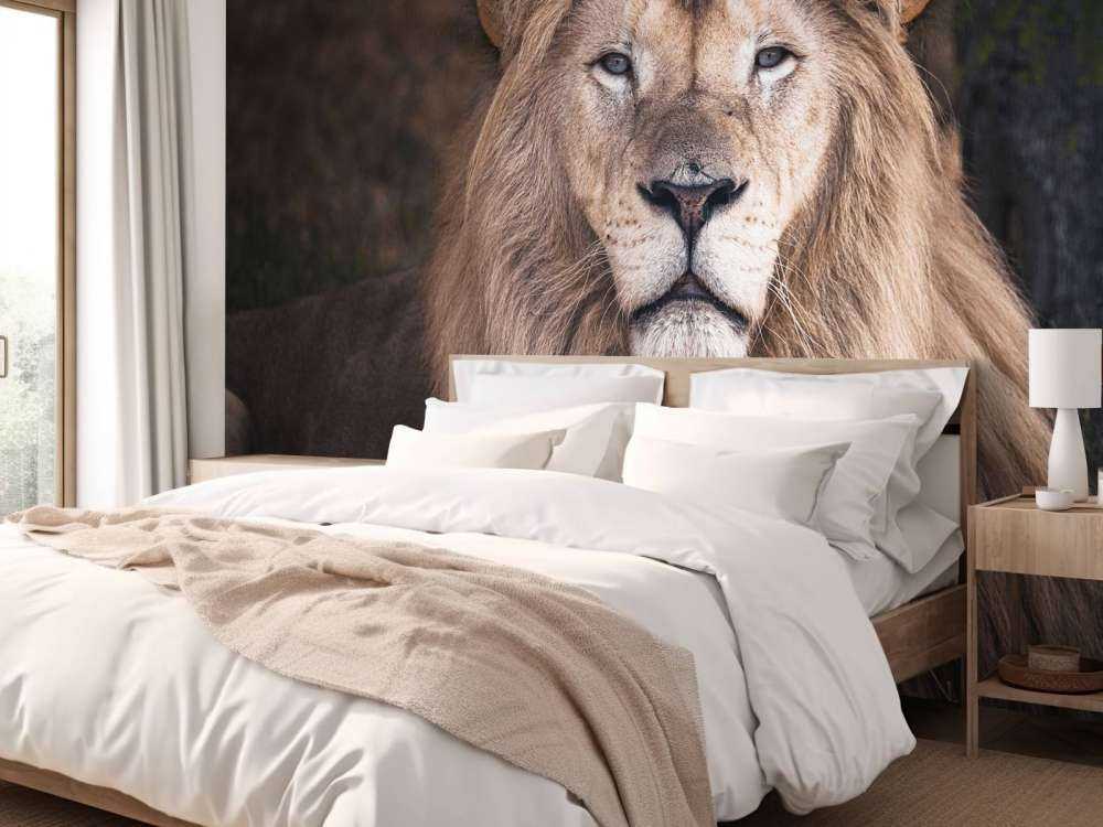 Portrait d'un lion