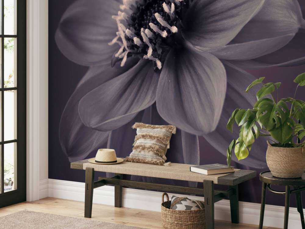 Fleur de dahlia foncé