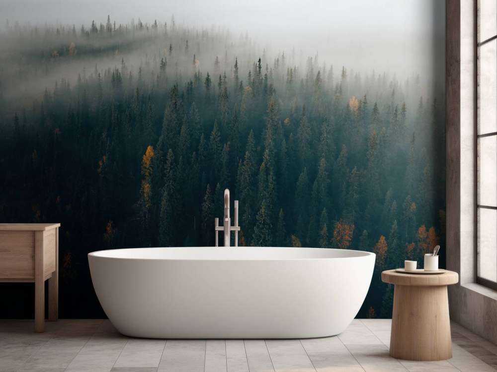Forêt dans brume