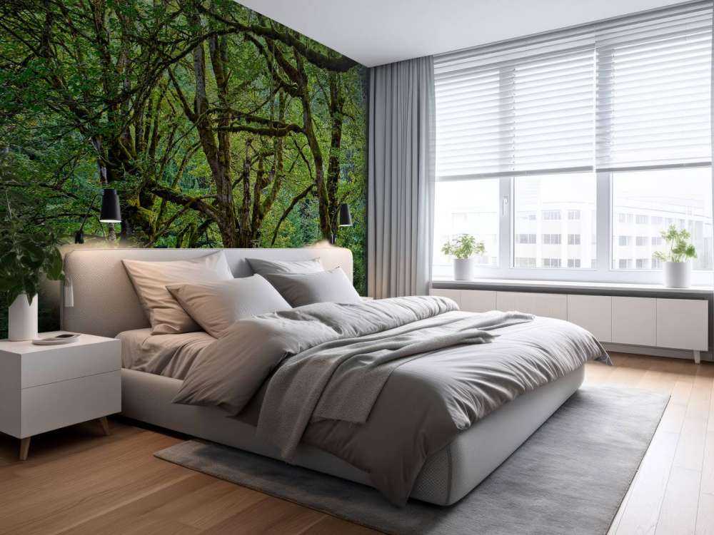 Vieux arbres