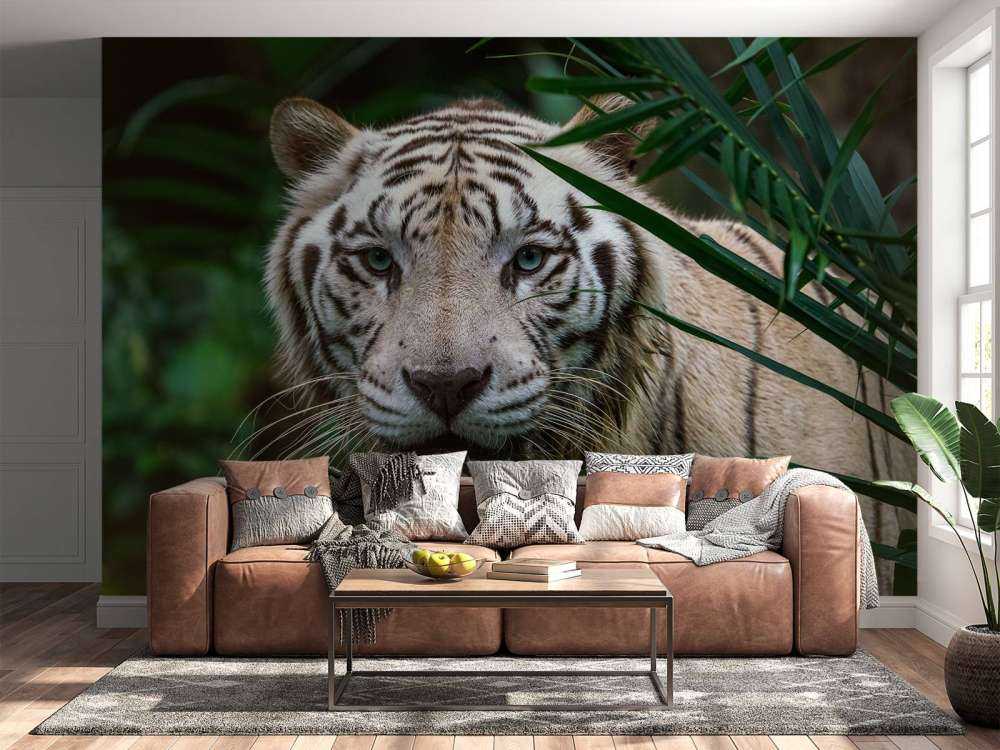 Tigre blanc