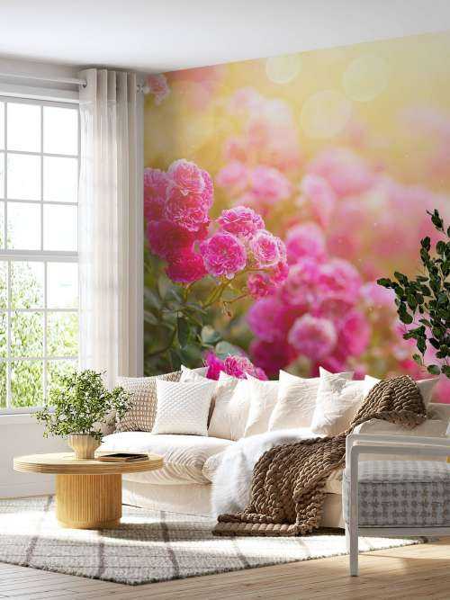 Rosiers roses