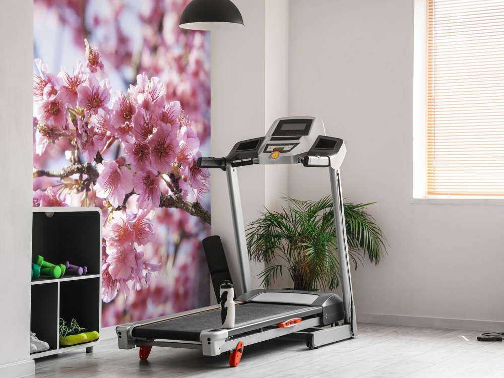 Gros plan sur la fleur rose