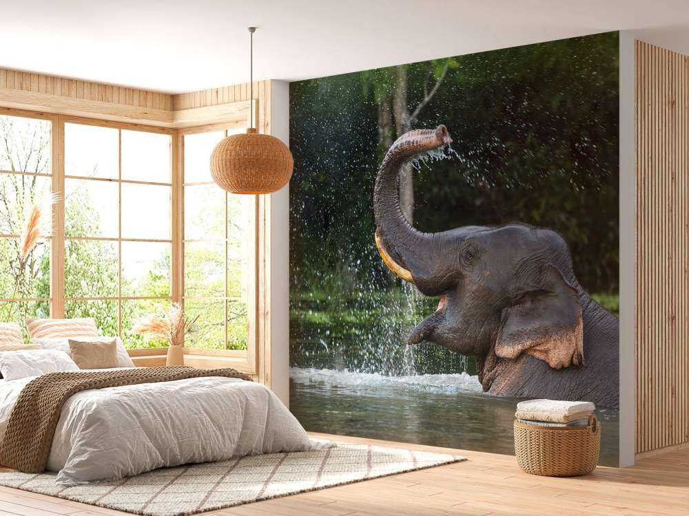 L'éléphant dans l'eau